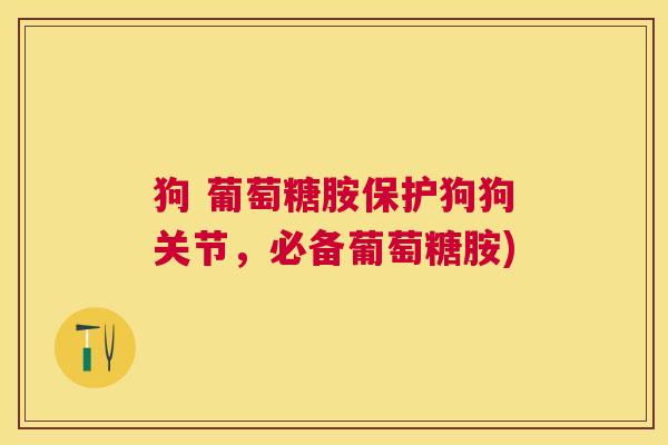 狗 葡萄糖胺保护狗狗关节,必备葡萄糖胺)