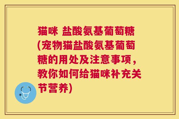 猫咪 盐酸氨基葡萄糖(宠物猫盐酸氨基葡萄糖的用处及注意事项,教你如何给猫咪补充关节营养) 猫咪 盐酸氨基葡萄糖(宠物猫盐酸氨基葡萄糖的用处及注意事项,教你如何给猫咪补充关节营养)