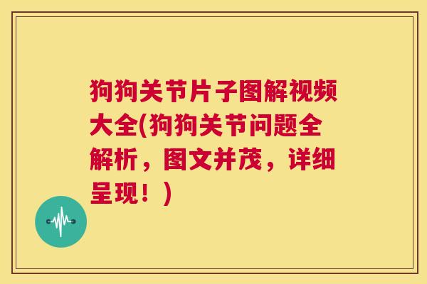 狗狗关节片子图解视频大全(狗狗关节问题全解析，图文并茂，详细呈现！)