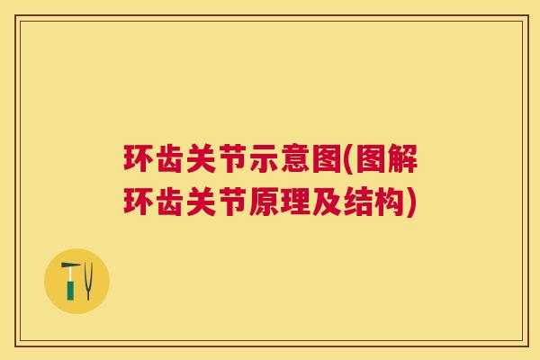 环齿关节示意图(图解环齿关节原理及结构)