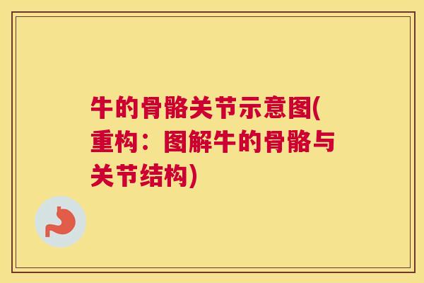 牛的骨骼关节示意图(重构：图解牛的骨骼与关节结构)
