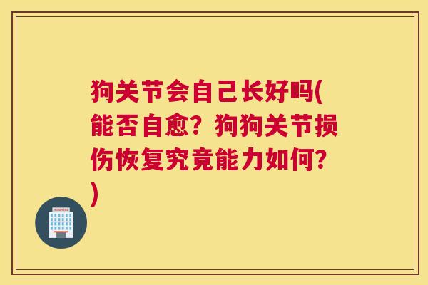 狗关节会自己长好吗(能否自愈?狗狗关节损伤恢复究竟能力如何?)