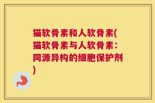 猫软骨素和人软骨素(猫软骨素与人软骨素:同源异构的细胞保护剂)