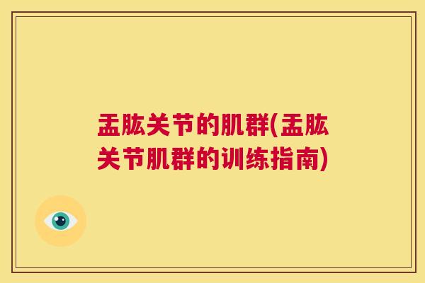 盂肱关节的肌群(盂肱关节肌群的训练指南)