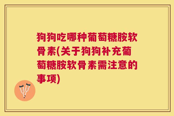 狗狗吃哪种葡萄糖胺软骨素(关于狗狗补充葡萄糖胺软骨素需注意的事项)