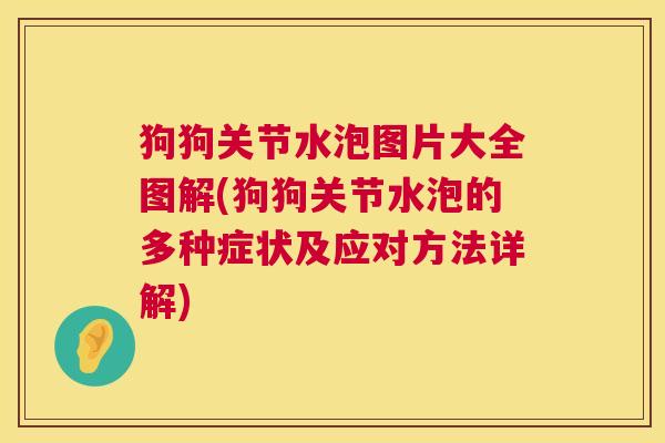 狗狗关节水泡图片大全图解(狗狗关节水泡的多种症状及应对方法详解)