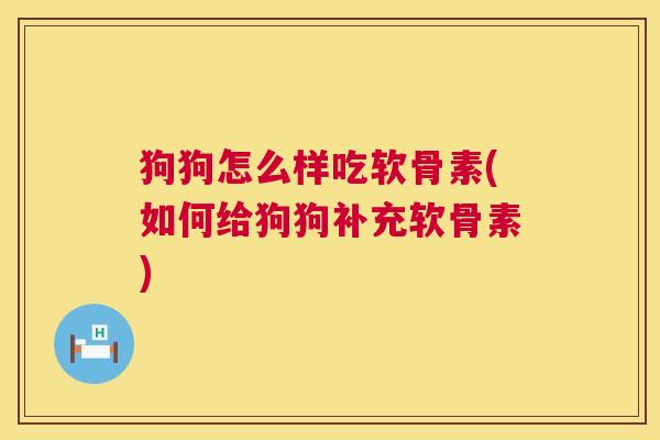狗狗怎么样吃软骨素(如何给狗狗补充软骨素)