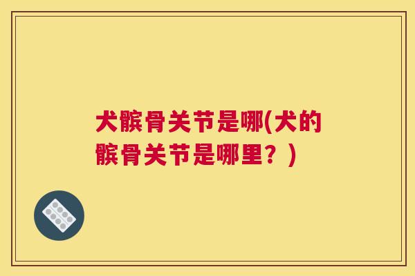 犬髌骨关节是哪(犬的髌骨关节是哪里？)