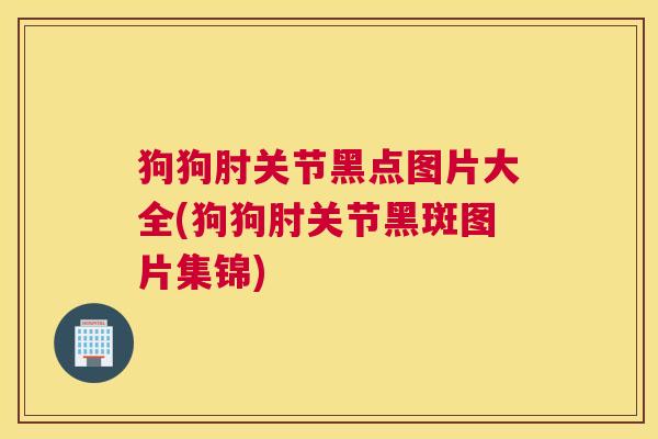 狗狗肘关节黑点图片大全(狗狗肘关节黑斑图片集锦) 狗狗肘关节黑点图片大全(狗狗肘关节黑斑图片集锦)