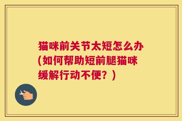 猫咪前关节太短怎么办(如何帮助短前腿猫咪缓解行动不便？)