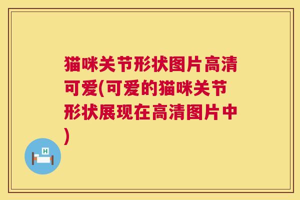 猫咪关节形状图片高清可爱(可爱的猫咪关节形状展现在高清图片中)