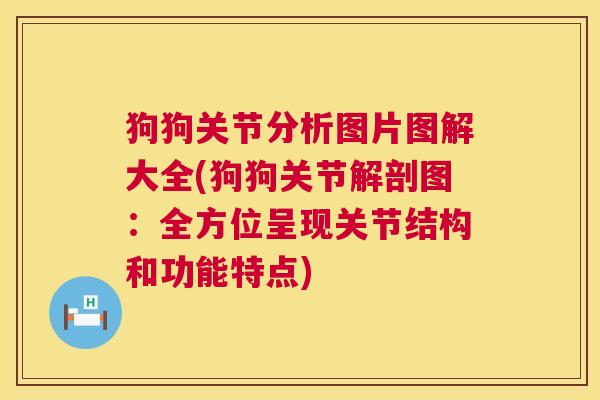 狗狗关节分析图片图解大全(狗狗关节解剖图：全方位呈现关节结构和功能特点)
