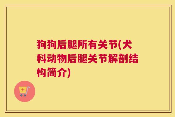 狗狗后腿所有关节(犬科动物后腿关节解剖结构简介)