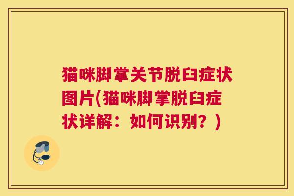 猫咪脚掌关节脱臼症状图片(猫咪脚掌脱臼症状详解：如何识别？)