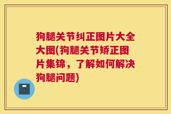 狗腿关节纠正图片大全大图(狗腿关节矫正图片集锦,了解如何解决狗腿问题)