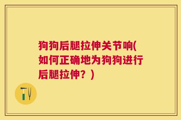 狗狗后腿拉伸关节响(如何正确地为狗狗进行后腿拉伸？)