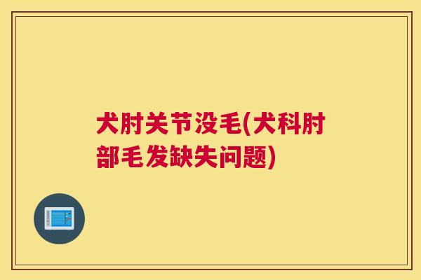 犬肘关节没毛(犬科肘部毛发缺失问题) 犬肘关节没毛(犬科肘部毛发缺失问题)