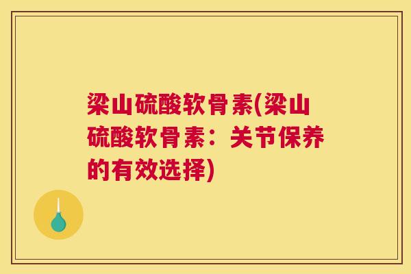 梁山硫酸软骨素(梁山硫酸软骨素:关节保养的有效选择)