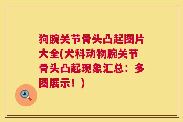狗腕关节骨头凸起图片大全(犬科动物腕关节骨头凸起现象汇总:多图展示!)