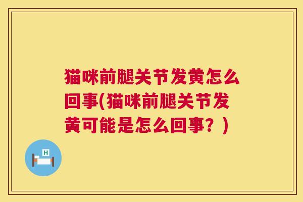 猫咪前腿关节发黄怎么回事(猫咪前腿关节发黄可能是怎么回事?) 猫咪前腿关节发黄怎么回事(猫咪前腿关节发黄可能是怎么回事?)