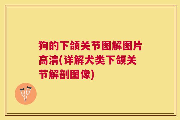 狗的下颌关节图解图片高清(详解犬类下颌关节解剖图像) 狗的下颌关节图解图片高清(详解犬类下颌关节解剖图像)