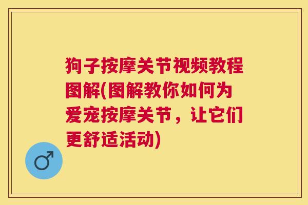狗子按摩关节视频教程图解(图解教你如何为爱宠按摩关节,让它们更舒适活动)