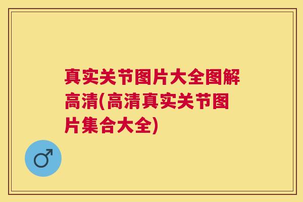 真实关节图片大全图解高清(高清真实关节图片集合大全)