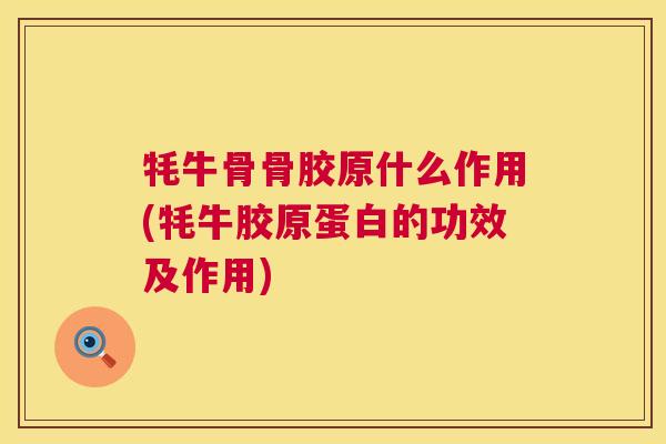 牦牛骨骨胶原什么作用(牦牛胶原蛋白的功效及作用) 牦牛骨骨胶原什么作用(牦牛胶原蛋白的功效及作用)