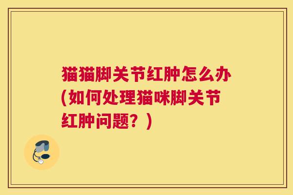 猫猫脚关节红肿怎么办(如何处理猫咪脚关节红肿问题?)