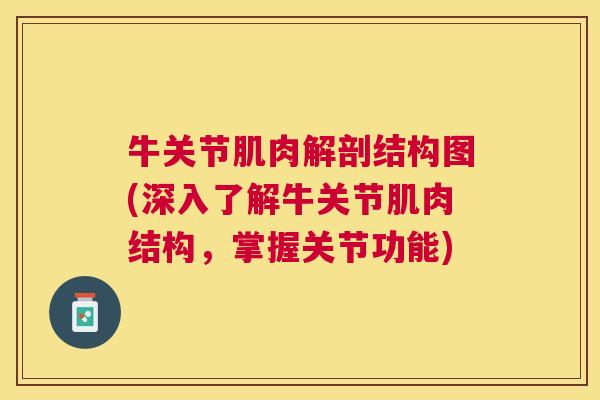 牛关节肌肉解剖结构图(深入了解牛关节肌肉结构，掌握关节功能)