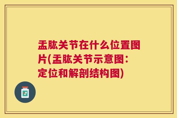 盂肱关节在什么位置图片(盂肱关节示意图:定位和解剖结构图) 盂肱关节在什么位置图片(盂肱关节示意图:定位和解剖结构图)