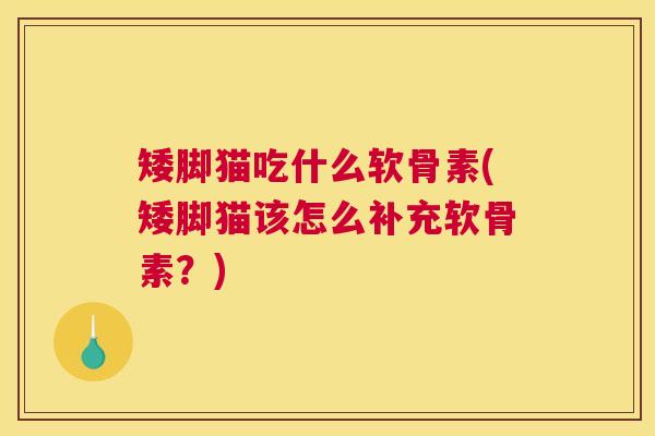 矮脚猫吃什么软骨素(矮脚猫该怎么补充软骨素？)