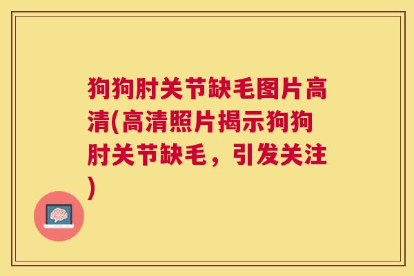 狗狗肘关节缺毛图片高清(高清照片揭示狗狗肘关节缺毛,引发关注) 狗狗肘关节缺毛图片高清(高清照片揭示狗狗肘关节缺毛,引发关注)