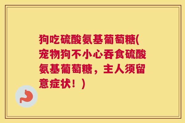 狗吃硫酸氨基葡萄糖(宠物狗不小心吞食硫酸氨基葡萄糖，主人须留意症状！)