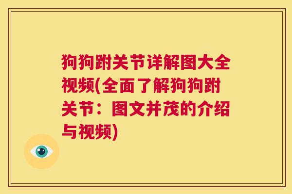 狗狗跗关节详解图大全视频(全面了解狗狗跗关节：图文并茂的介绍与视频)