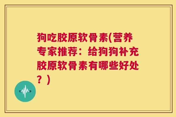 狗吃胶原软骨素(营养专家推荐：给狗狗补充胶原软骨素有哪些好处？)