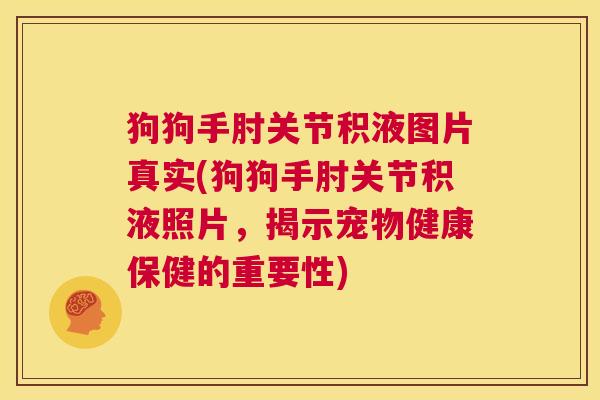 狗狗手肘关节积液图片真实(狗狗手肘关节积液照片,揭示宠物健康保健的重要性)