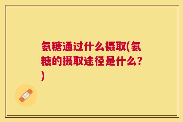 氨糖通过什么摄取(氨糖的摄取途径是什么?)