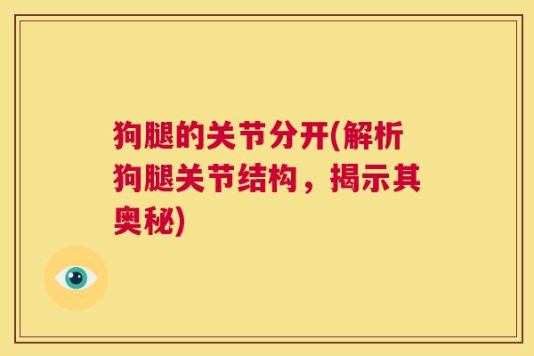 狗腿的关节分开(解析狗腿关节结构，揭示其奥秘)