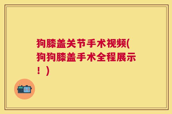 狗膝盖关节手术视频(狗狗膝盖手术全程展示!) 狗膝盖关节手术视频(狗狗膝盖手术全程展示!)