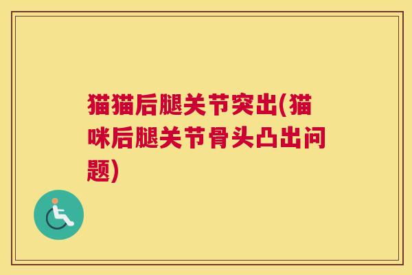 猫猫后腿关节突出(猫咪后腿关节骨头凸出问题)