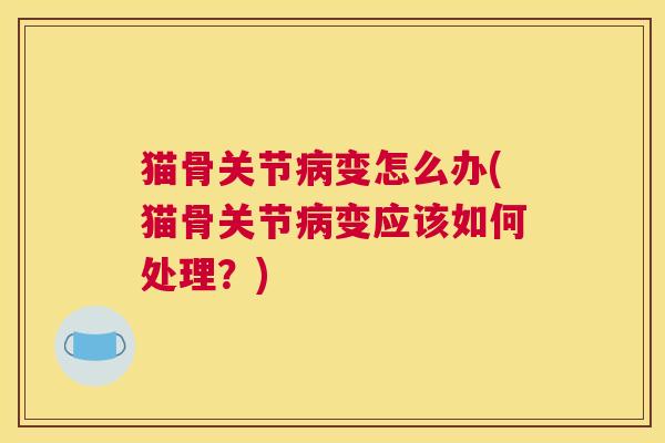 猫骨关节病变怎么办(猫骨关节病变应该如何处理?)