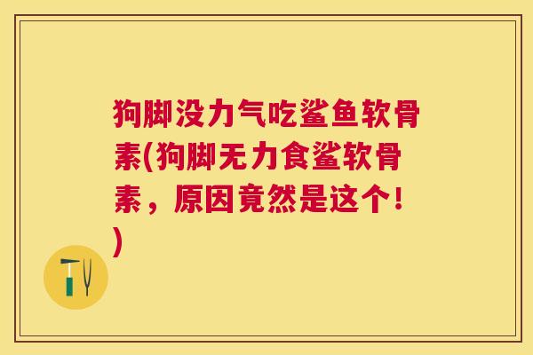狗脚没力气吃鲨鱼软骨素(狗脚无力食鲨软骨素,原因竟然是这个!) 狗脚没力气吃鲨鱼软骨素(狗脚无力食鲨软骨素,原因竟然是这个!)