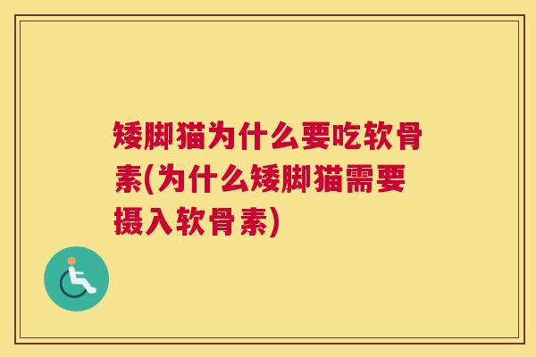 矮脚猫为什么要吃软骨素(为什么矮脚猫需要摄入软骨素)