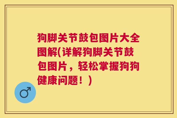 狗脚关节鼓包图片大全图解(详解狗脚关节鼓包图片,轻松掌握狗狗健康问题!) 狗脚关节鼓包图片大全图解(详解狗脚关节鼓包图片,轻松掌握狗狗健康问题!)