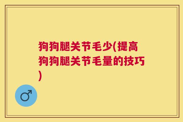 狗狗腿关节毛少(提高狗狗腿关节毛量的技巧) 狗狗腿关节毛少(提高狗狗腿关节毛量的技巧)