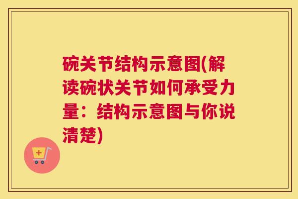 碗关节结构示意图(解读碗状关节如何承受力量:结构示意图与你说清楚)