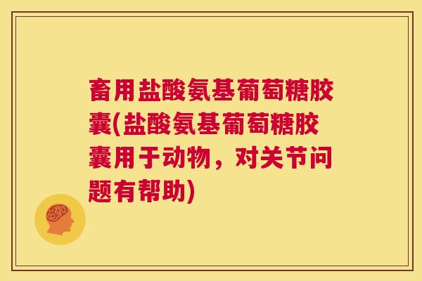 畜用盐酸氨基葡萄糖胶囊(盐酸氨基葡萄糖胶囊用于动物,对关节问题有帮助) 畜用盐酸氨基葡萄糖胶囊(盐酸氨基葡萄糖胶囊用于动物,对关节问题有帮助)