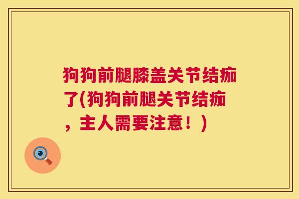 狗狗前腿膝盖关节结痂了(狗狗前腿关节结痂,主人需要注意!)