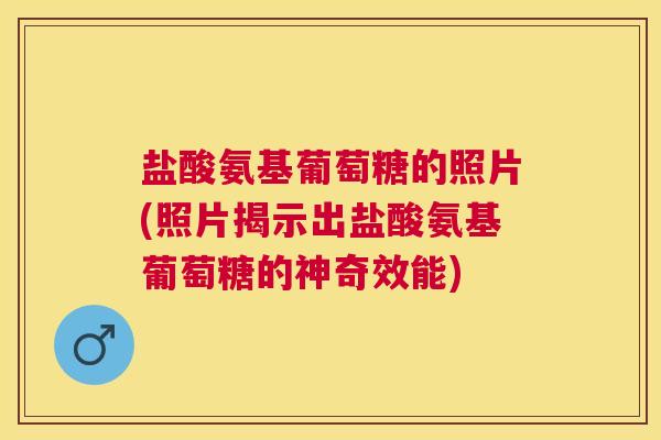 盐酸氨基葡萄糖的照片(照片揭示出盐酸氨基葡萄糖的神奇效能)